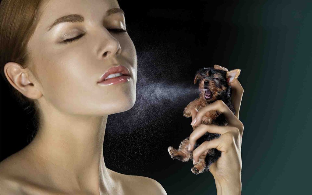 5 lưu ý khi xịt nước hoa có thể bạn chưa biết